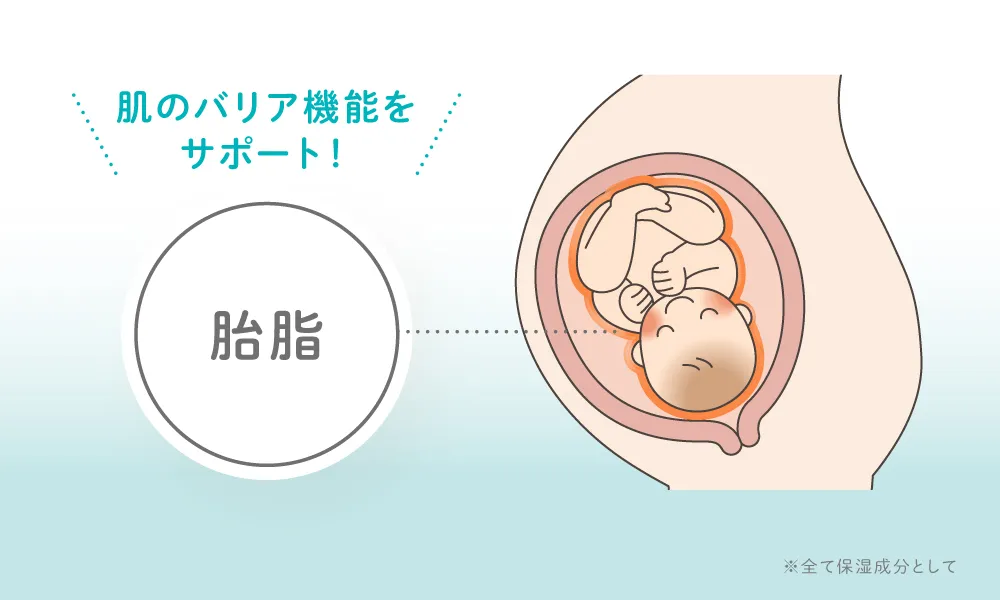 肌のバリア機能をサポート！
