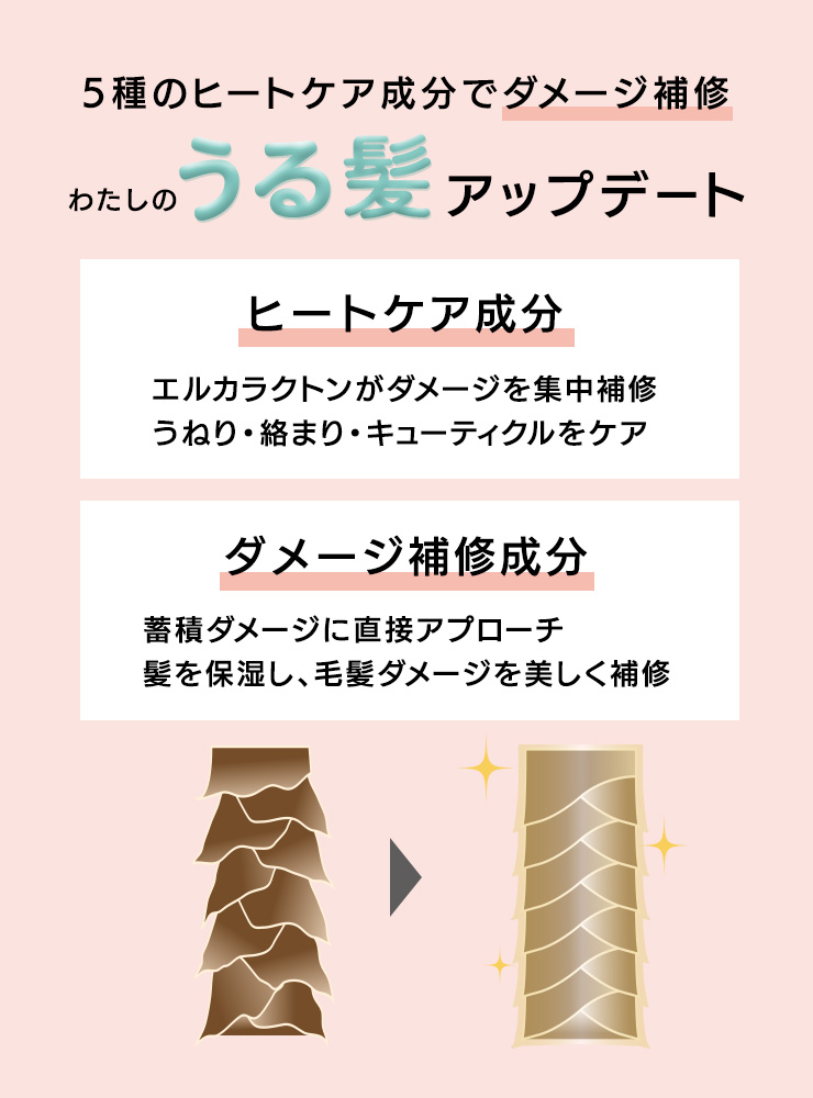 うる髪アップデート