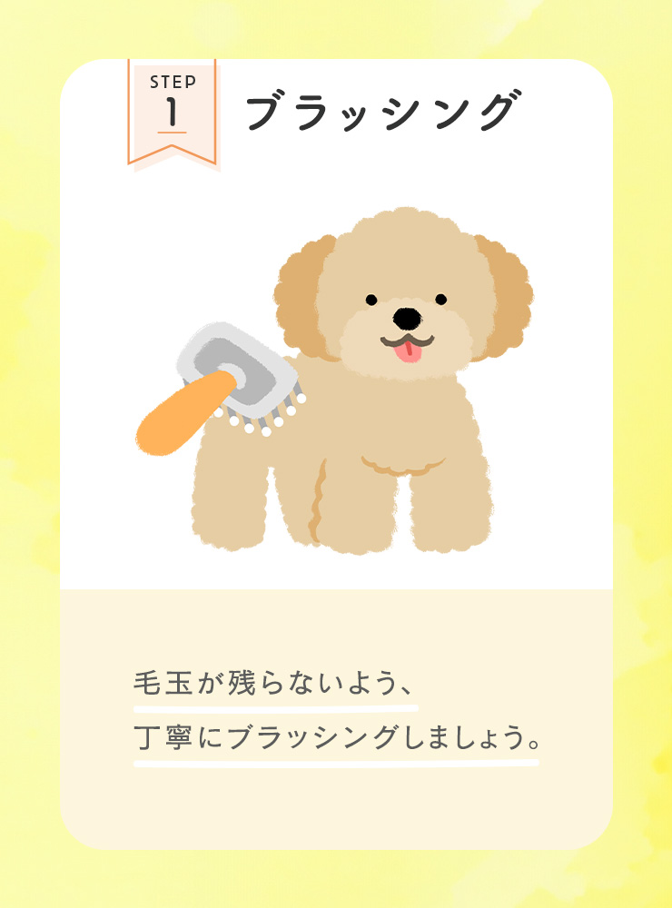 STEP1 ブラッシング
