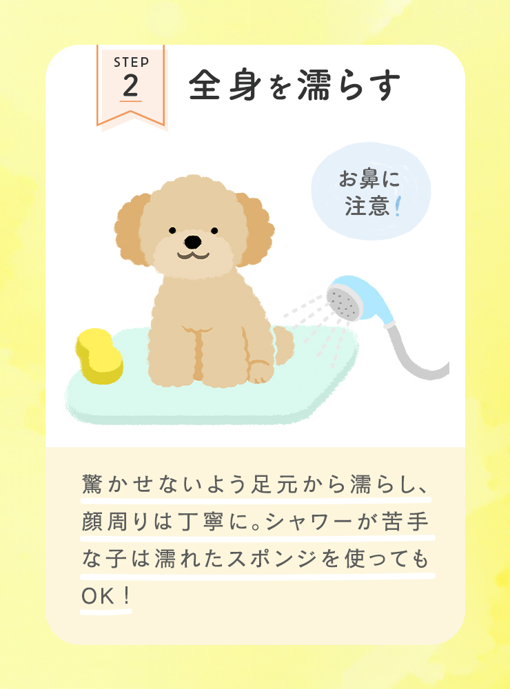 STEP2 全身を濡らす