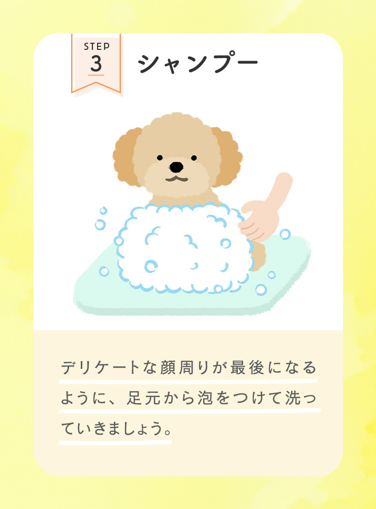 STEP3 シャンプー