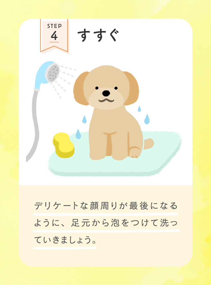 STEP4 すすぐ