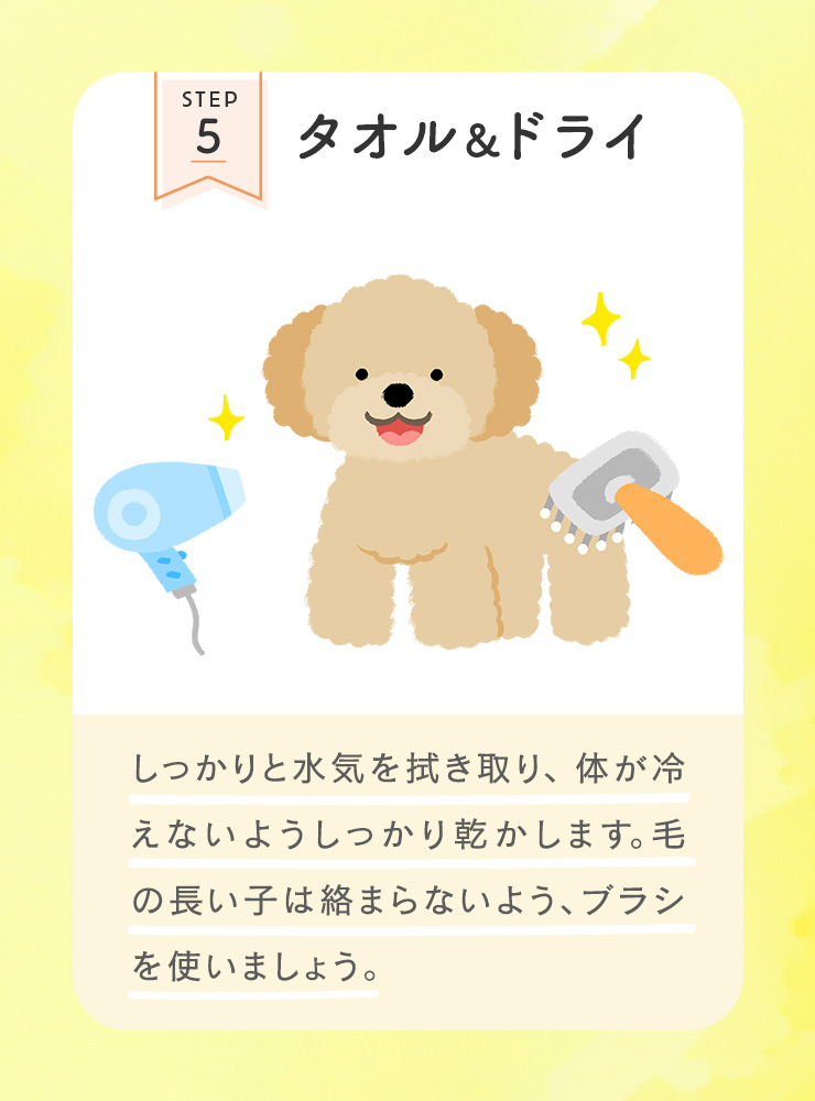 STEP5 タオル&ドライ