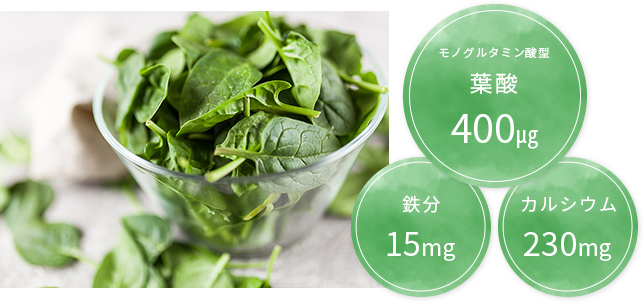 葉酸400μg・鉄分・カルシウム