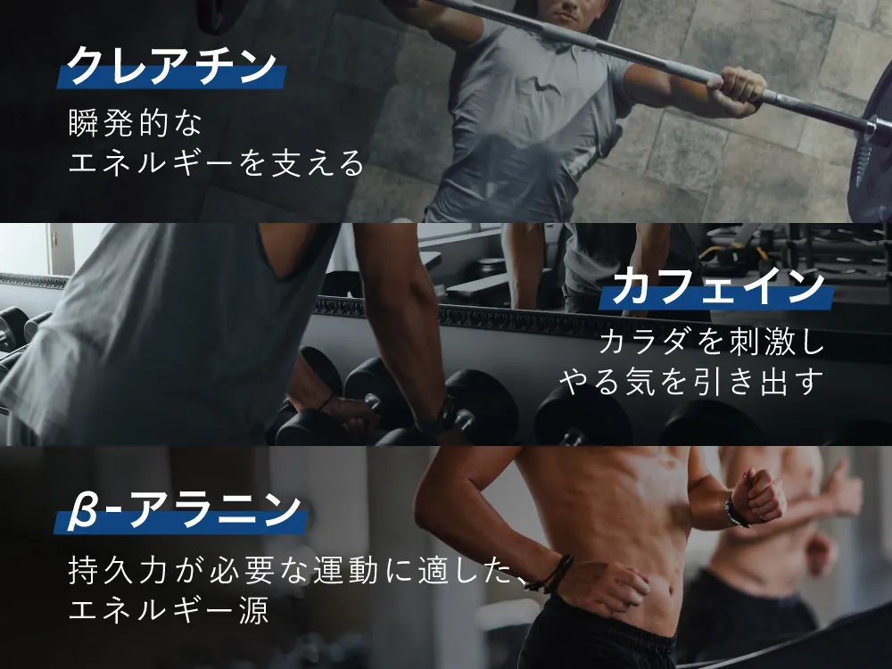 筋トレサポート成分高配合