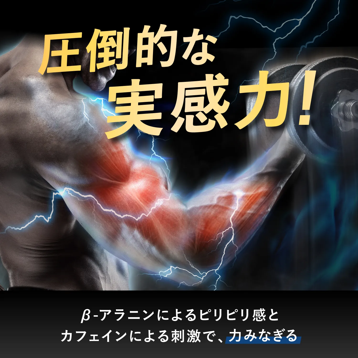 AMBiQUE（アンビーク）EAAの商品写真