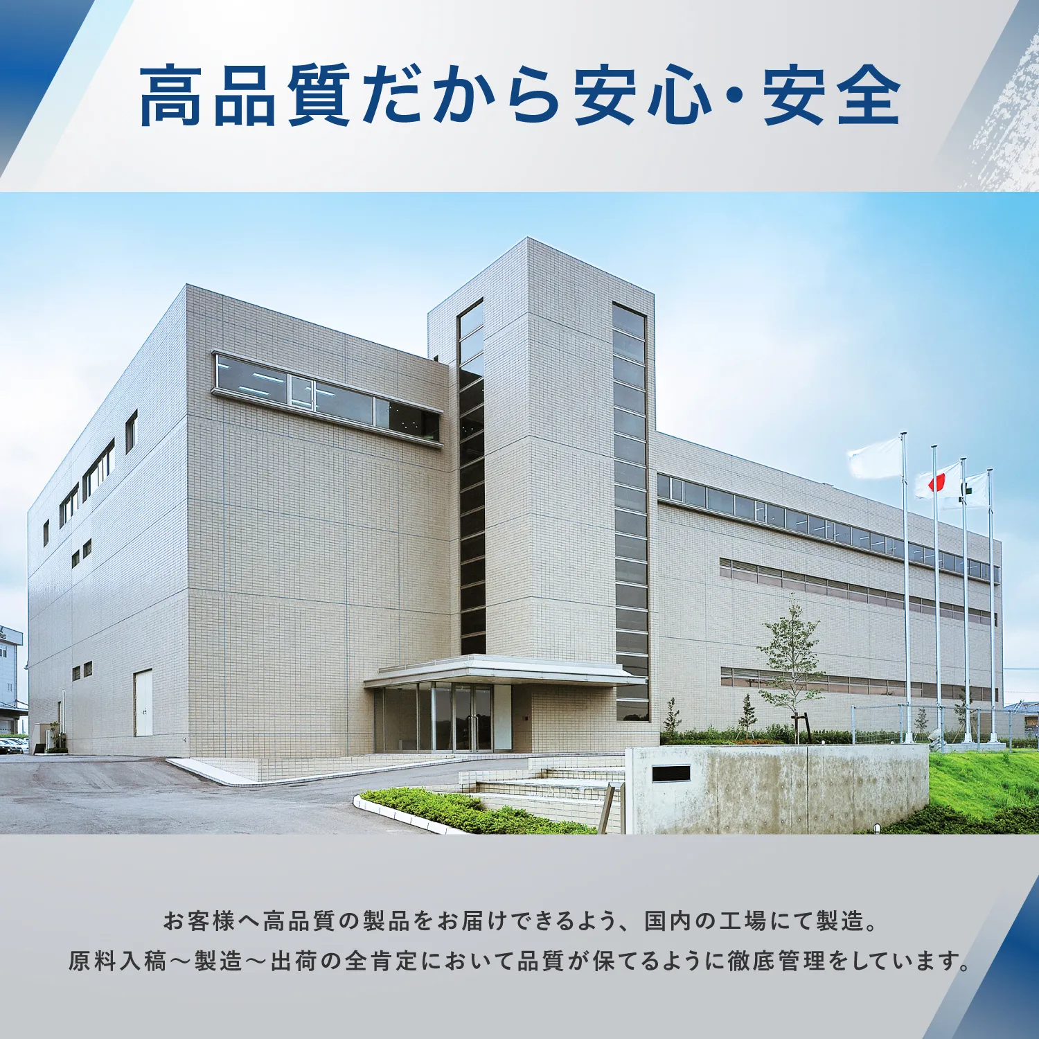 AMBiQUE（アンビーク）EAAの商品写真