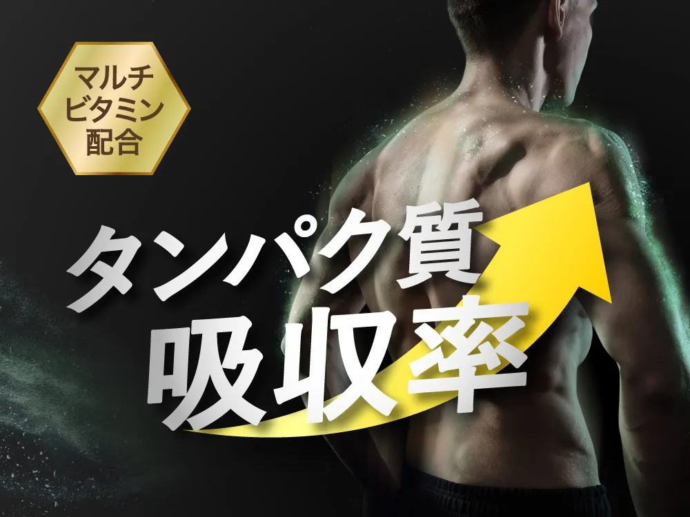 オールインワングルタミン タンパク質の吸収を高める