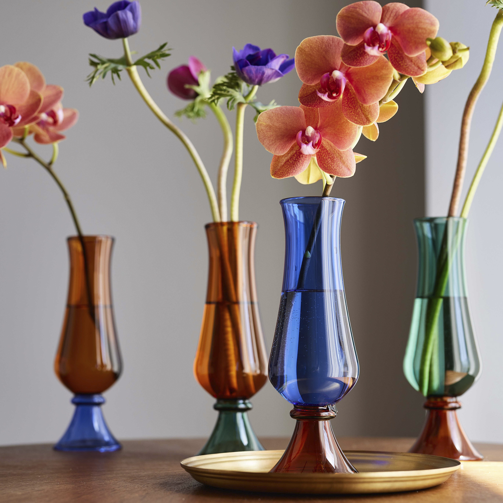 Soleil カラー展開: AMBER×FOREST GREEN