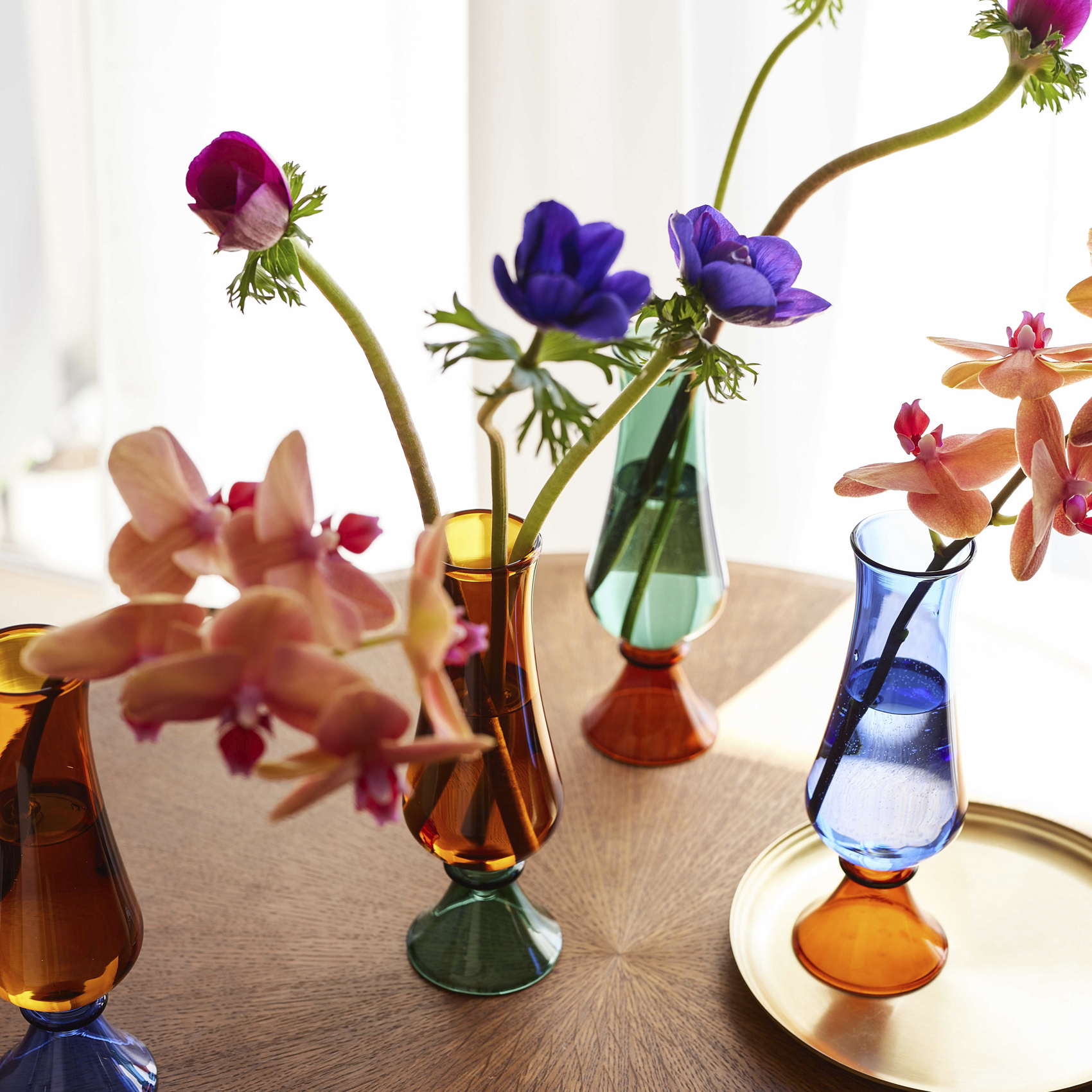 Soleil カラー展開: AMBER×FOREST GREEN