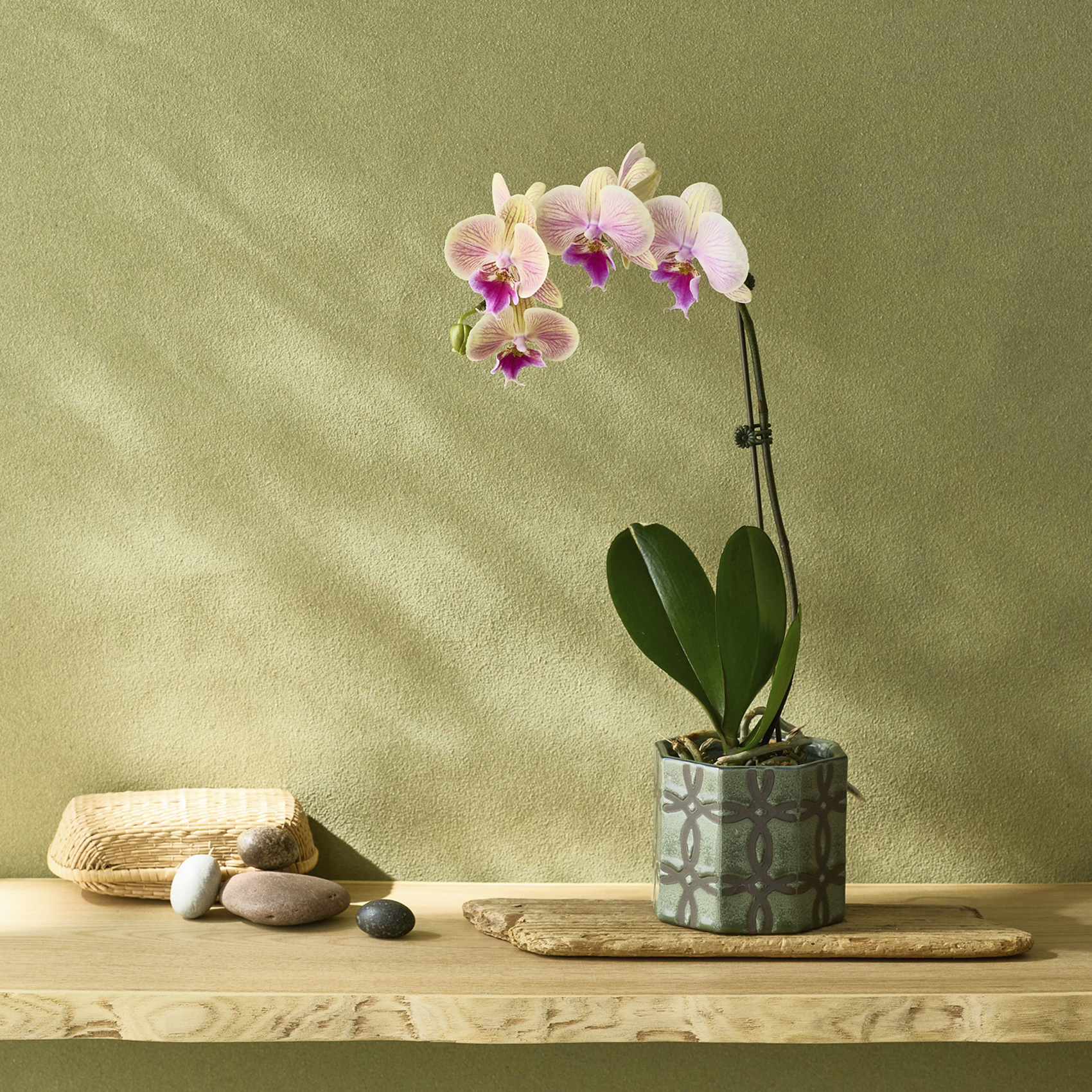 CLAY Organic Life Store｜花瓶・フラワーベース・THEO公式通販