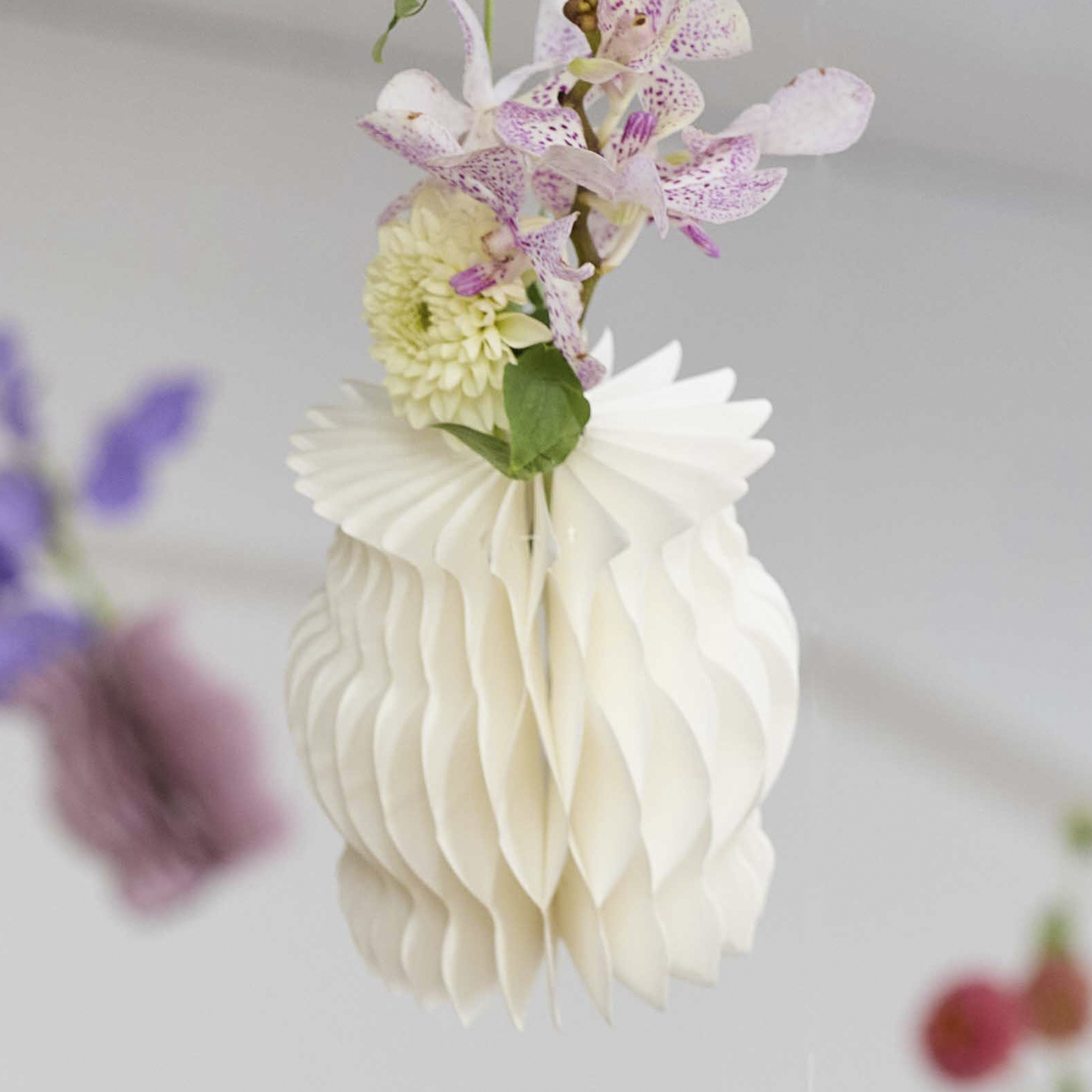  Plisse カラー展開: WHITE