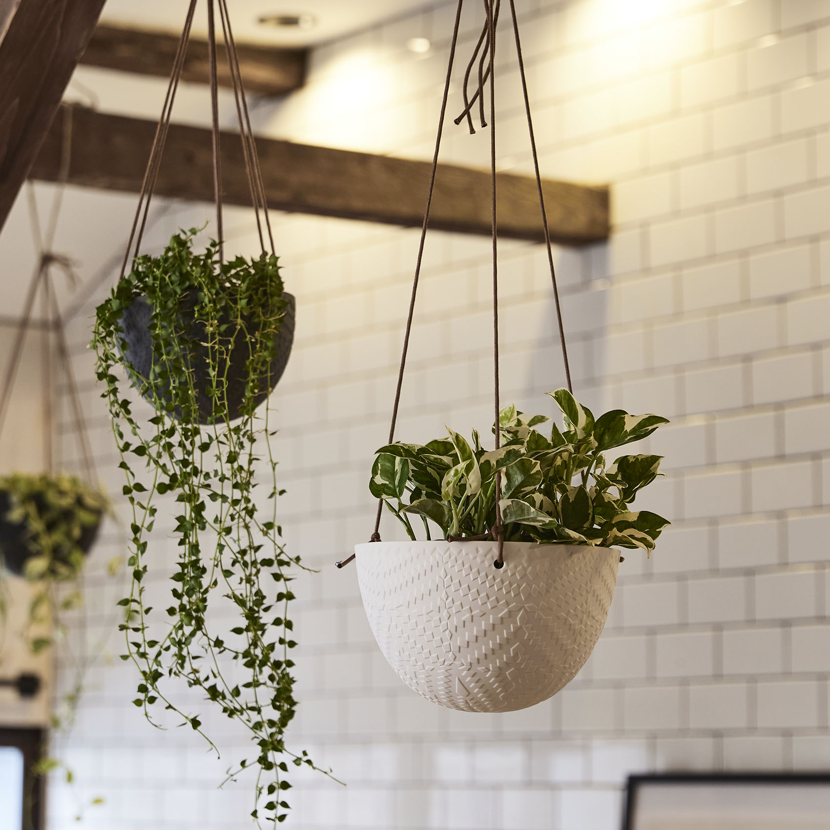 fonte カラー展開: MATT WHITE