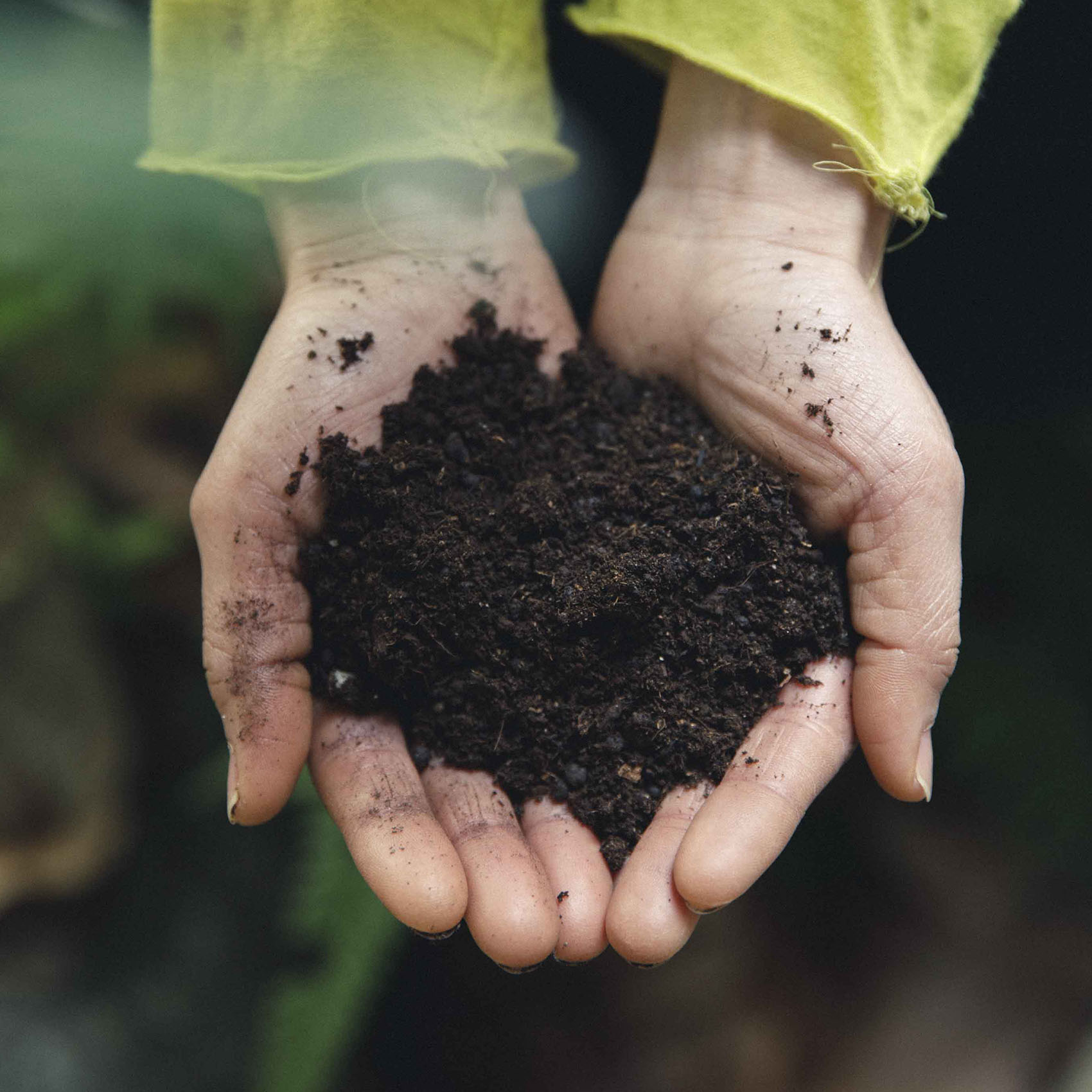 oiTHEO サイズ: 500ｇ