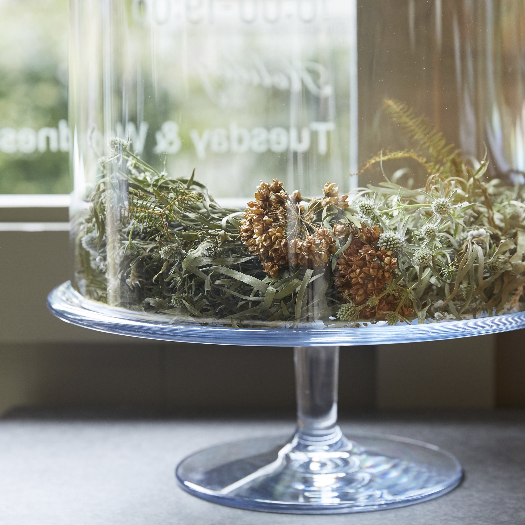 PC compote 形状展開: S  外寸：29.6φ×10H