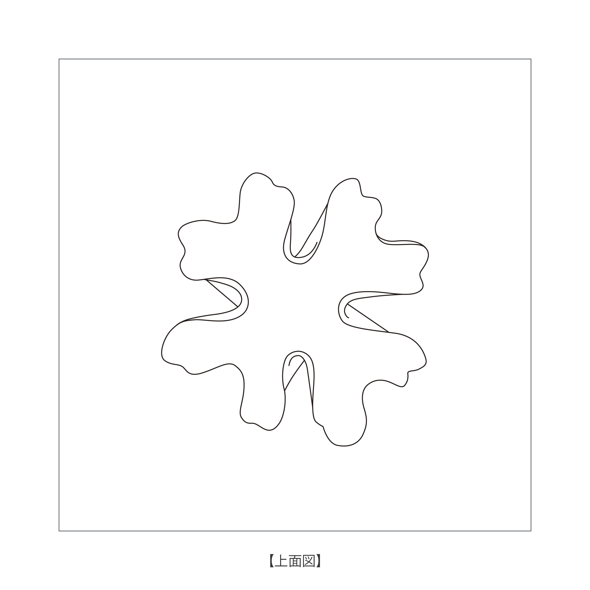 Recif 形状展開: 外寸：19L×19W×23H