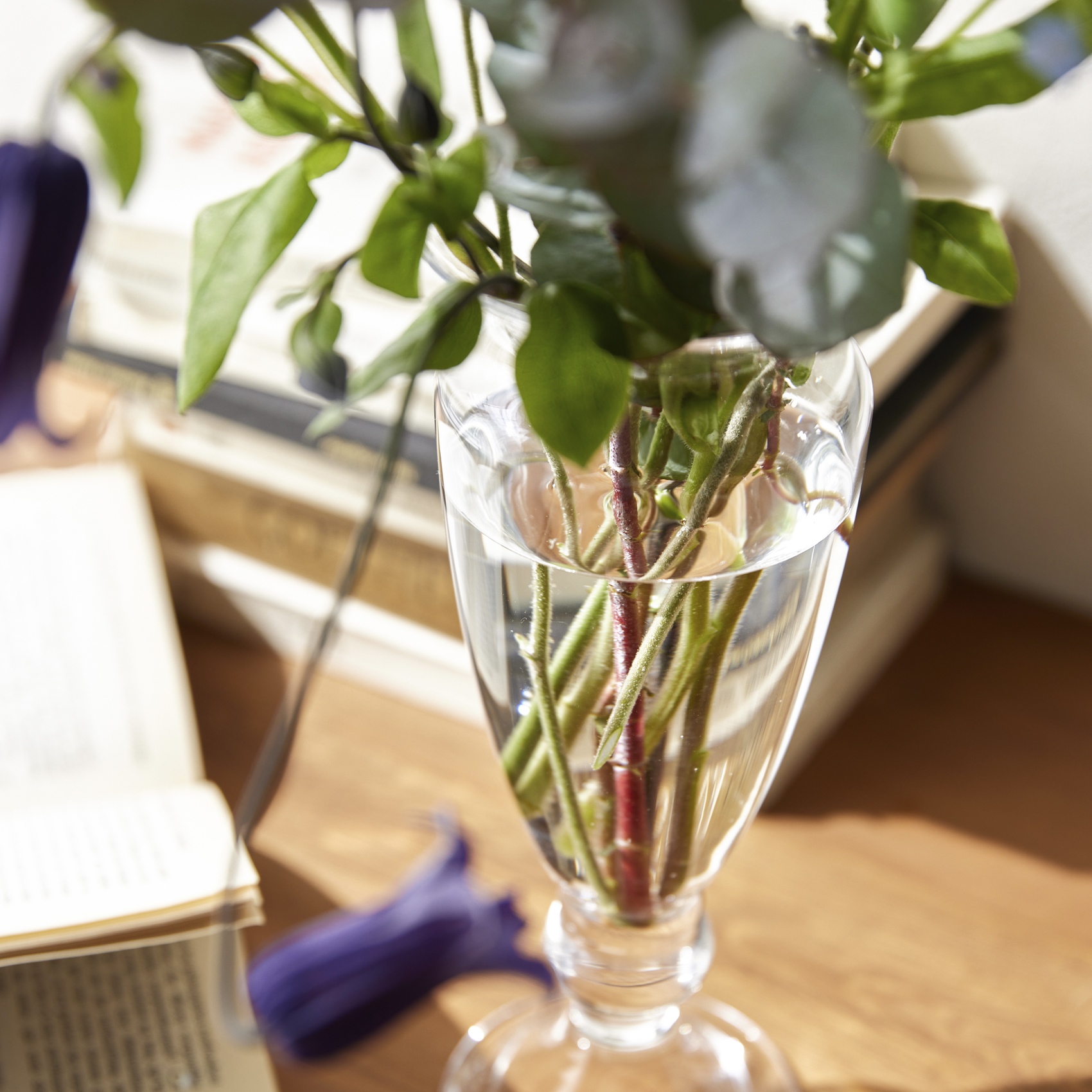 adrett 形状展開: 外寸：7.5φ×18H