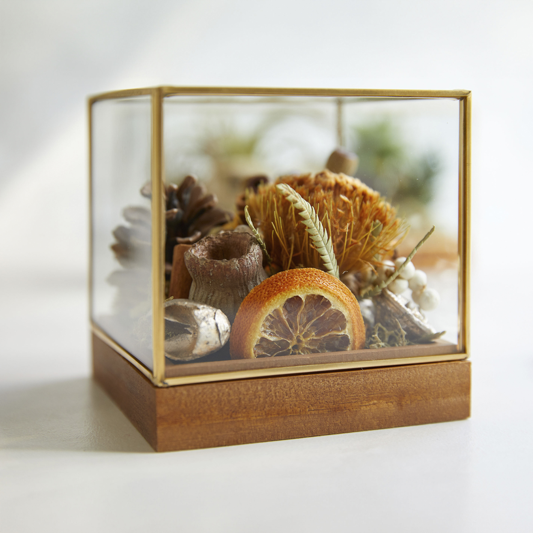 Petit Jardin mini 形状展開: S  外寸：10.5L×10.5W×10.5H