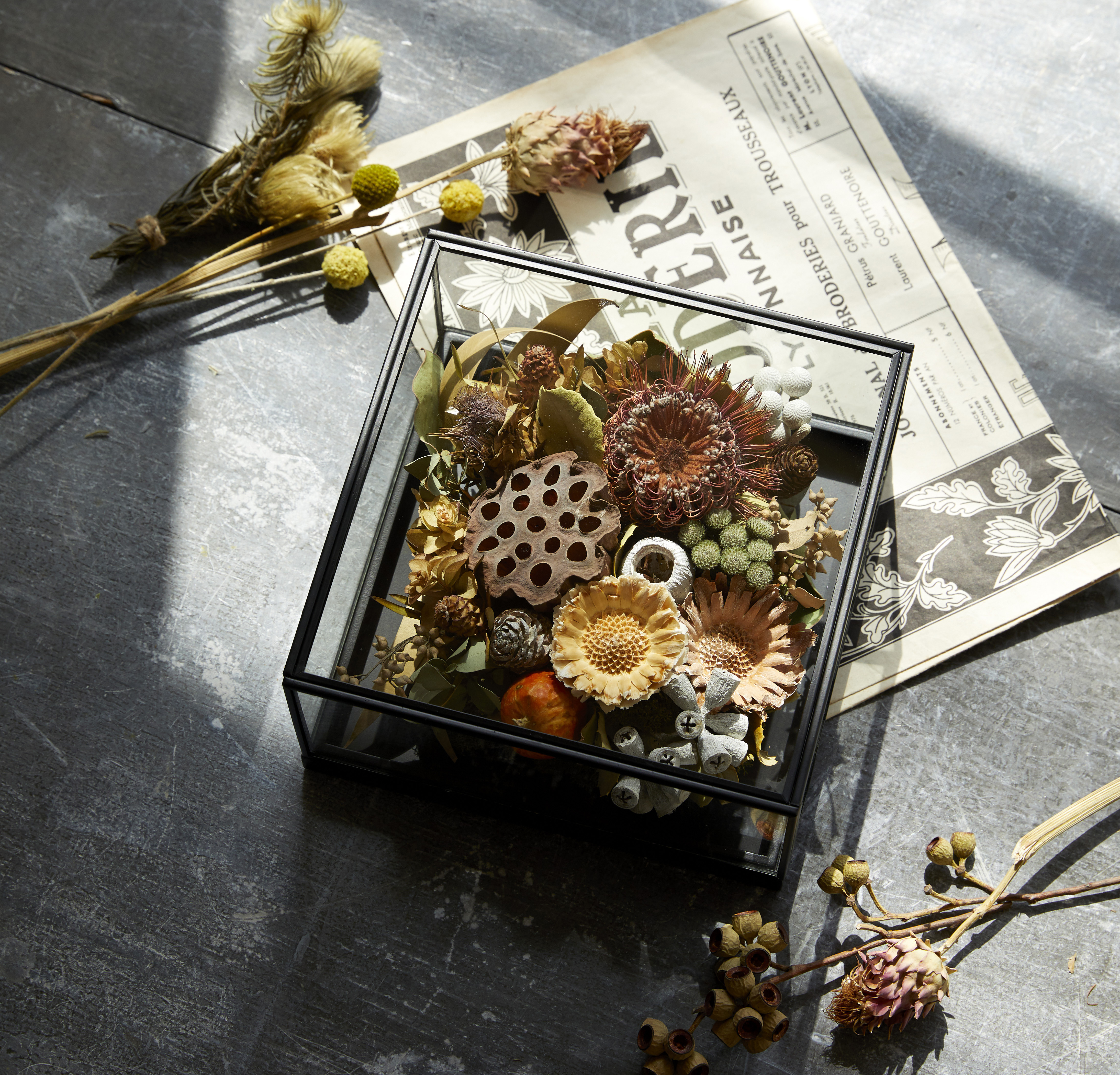 Petit Jardin 形状展開: S  外寸：21L×21W×10.5H, カラー展開: BLACK