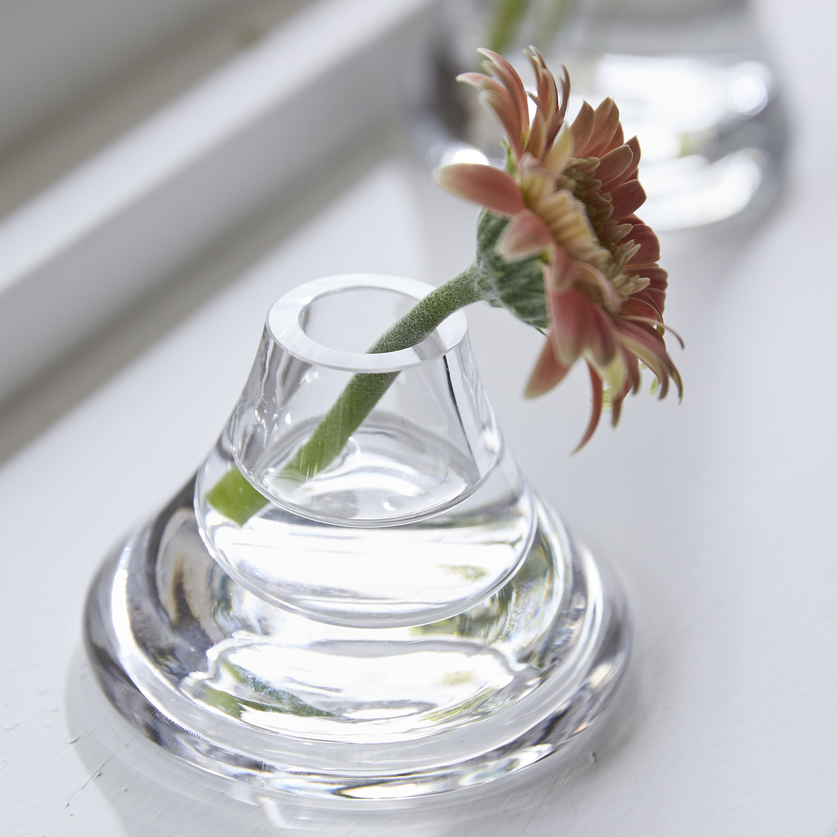 Fuji 形状展開: S  外寸：7.5φ×5H