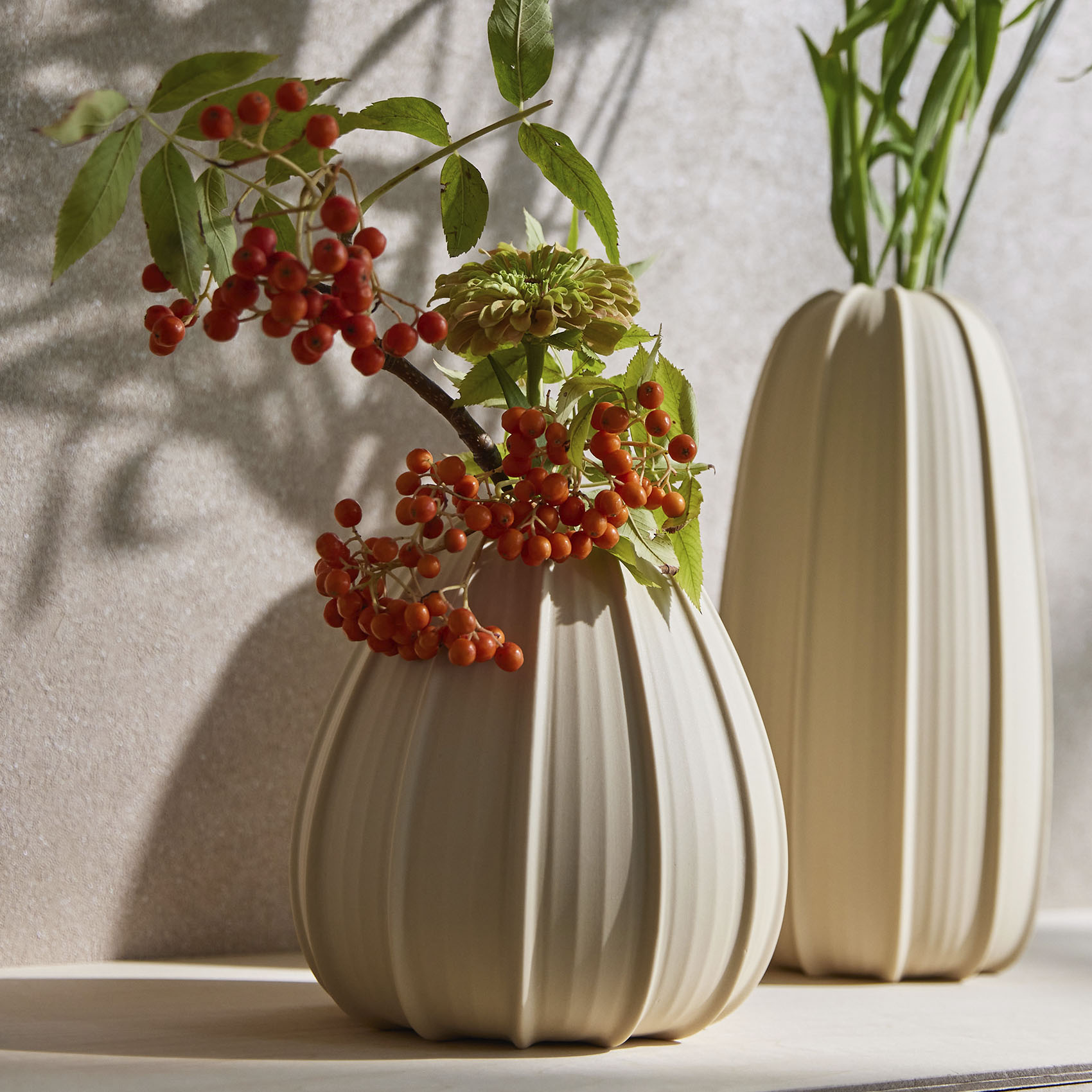 pullea 形状展開: S  外寸：15.5φ×16H