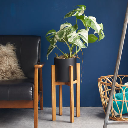 Wood stand pot