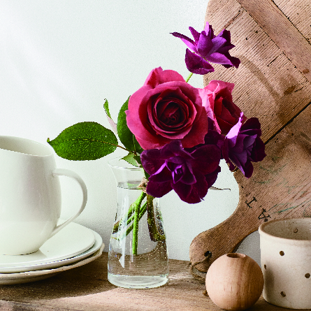 visco 形状展開: S  外寸：7φ×13H