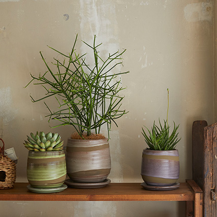 Terreno 形状展開: S  外寸：16φ×16H, カラー展開: MATTxBROWN