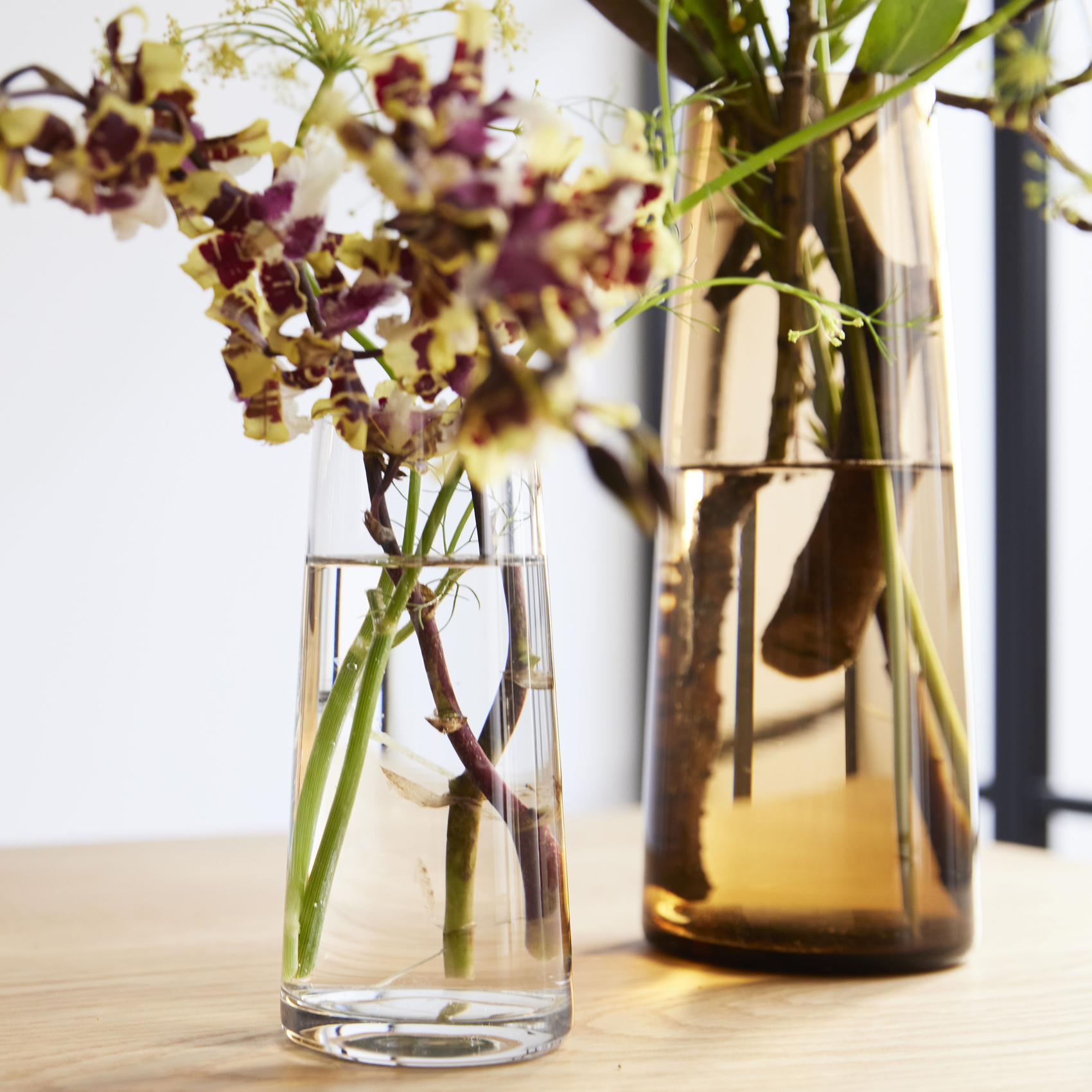 conicaglass 形状展開: S  外寸：7.5φ×16H, カラー: CLEAR