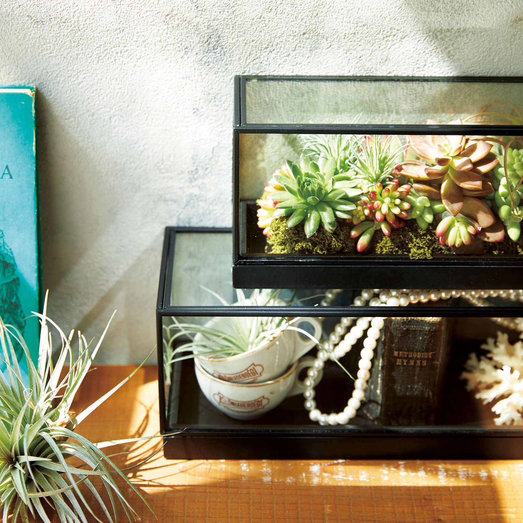 Petit Jardin 形状展開: S  外寸：21L×21W×10.5H, カラー展開: BLACK