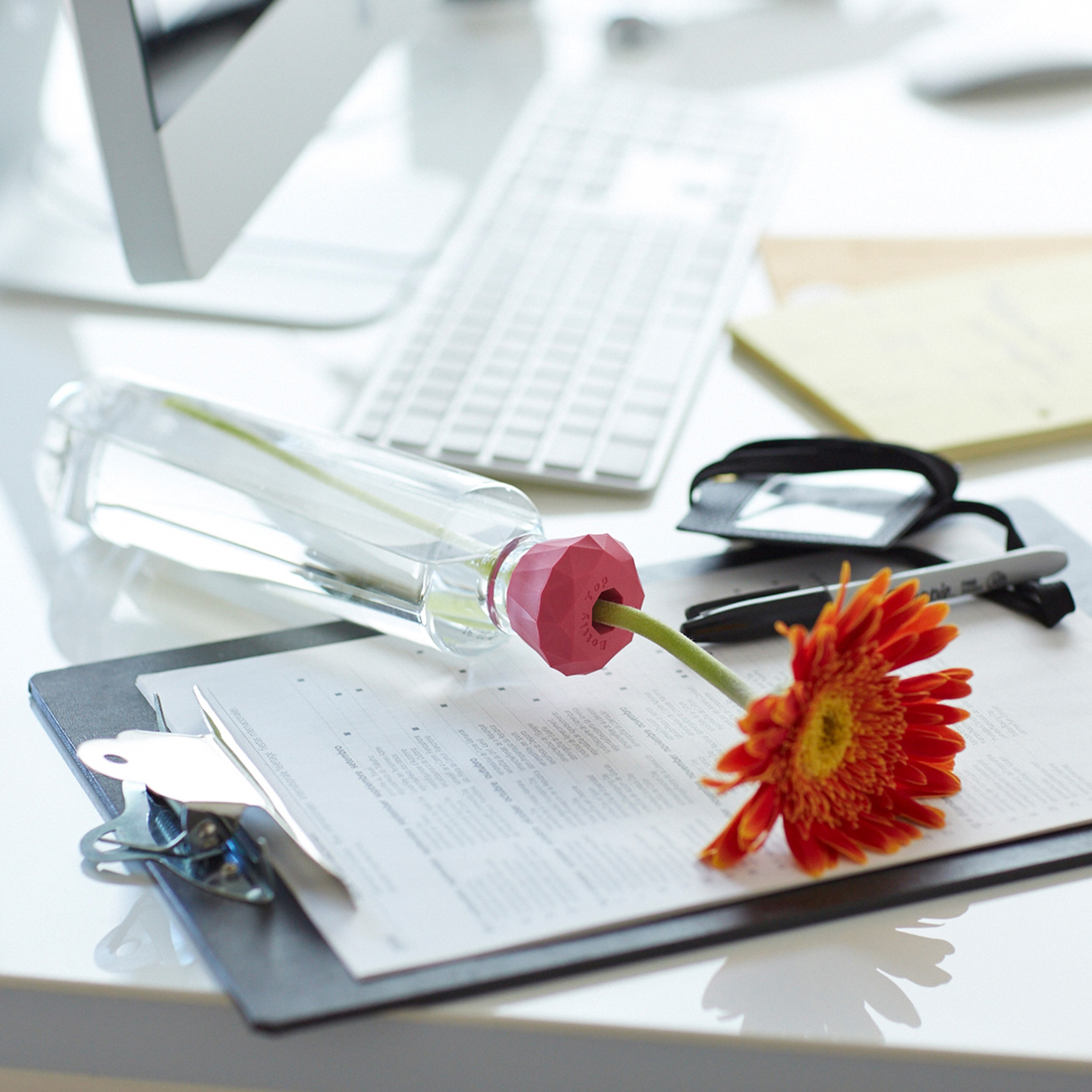 Bottly Top BIJOU カラー展開: WHITE MOON