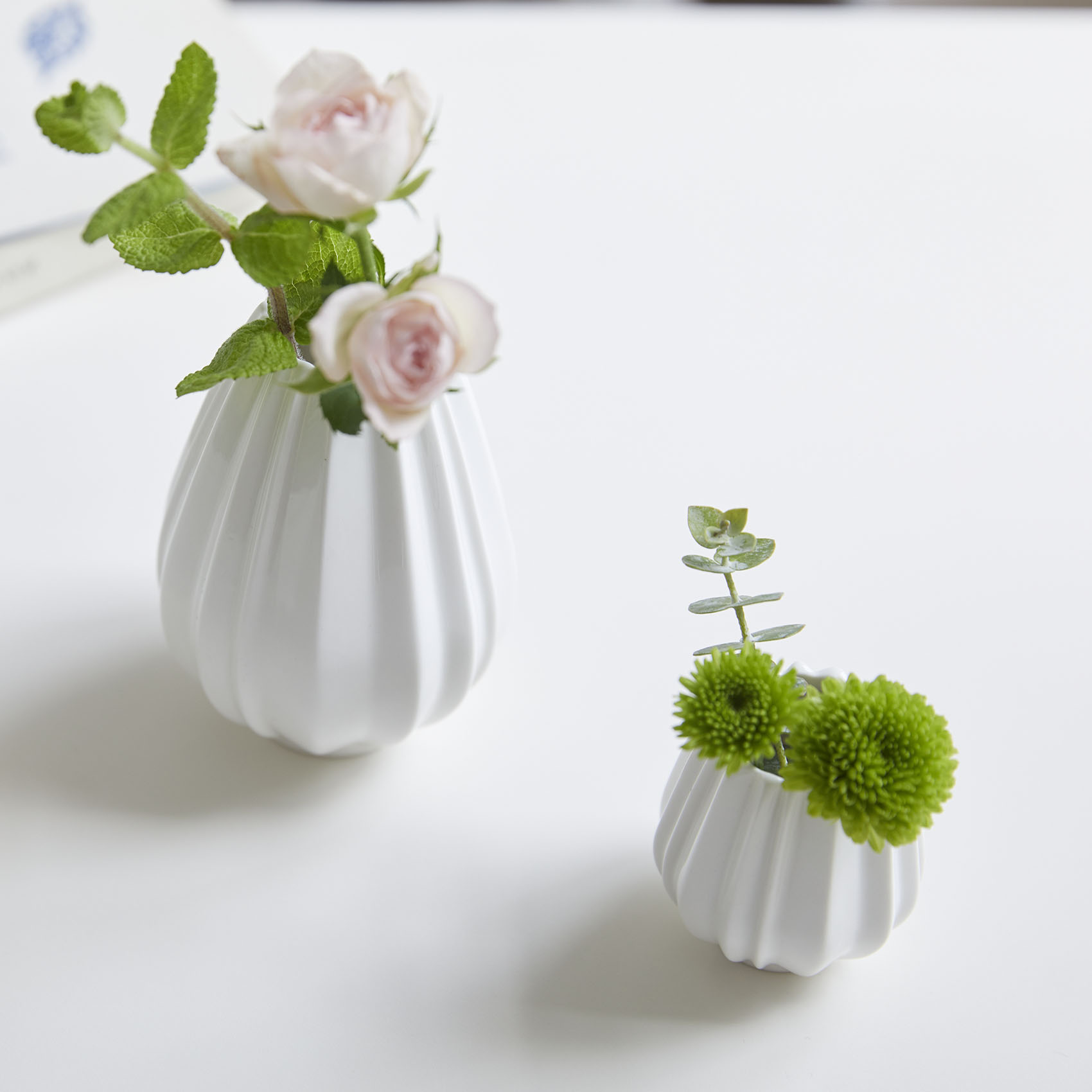 Pleats 形状展開: S  外寸：5.5φ×5.5H