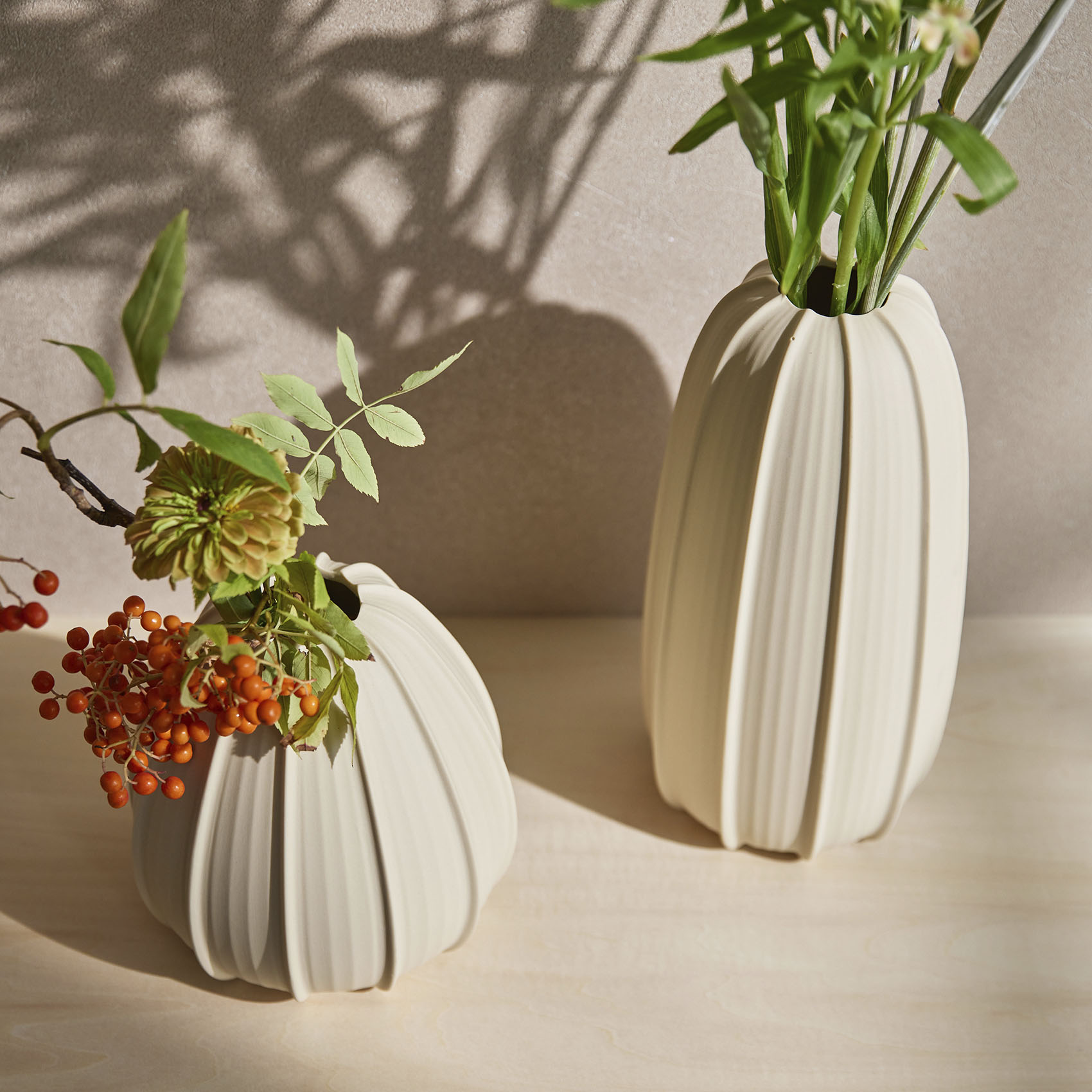 pullea 形状展開: S  外寸：15.5φ×16H