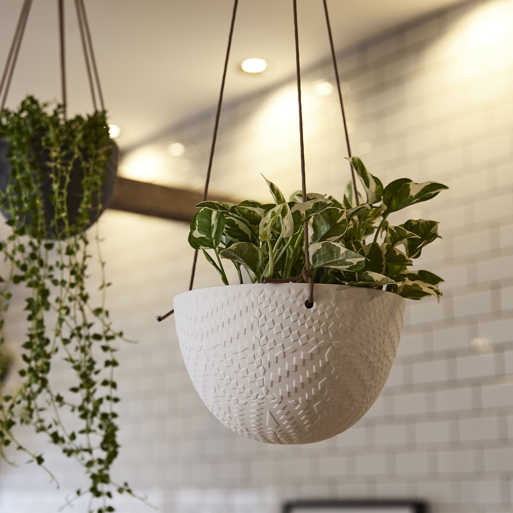 fonte カラー展開: MATT WHITE