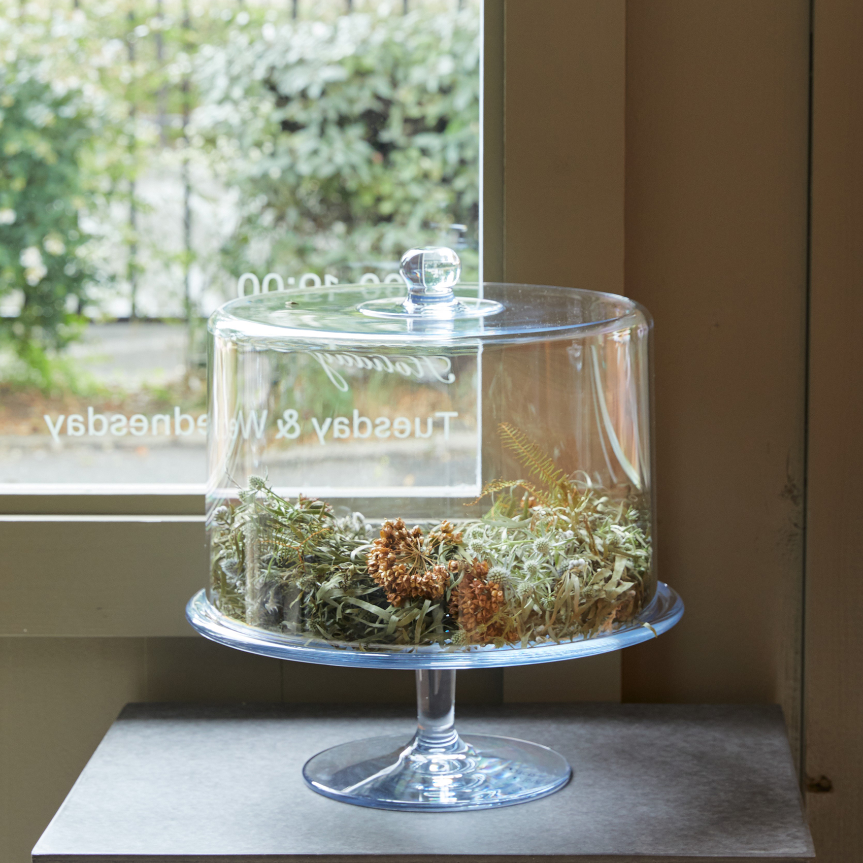 PC compote 形状展開: S  外寸：29.6φ×10H