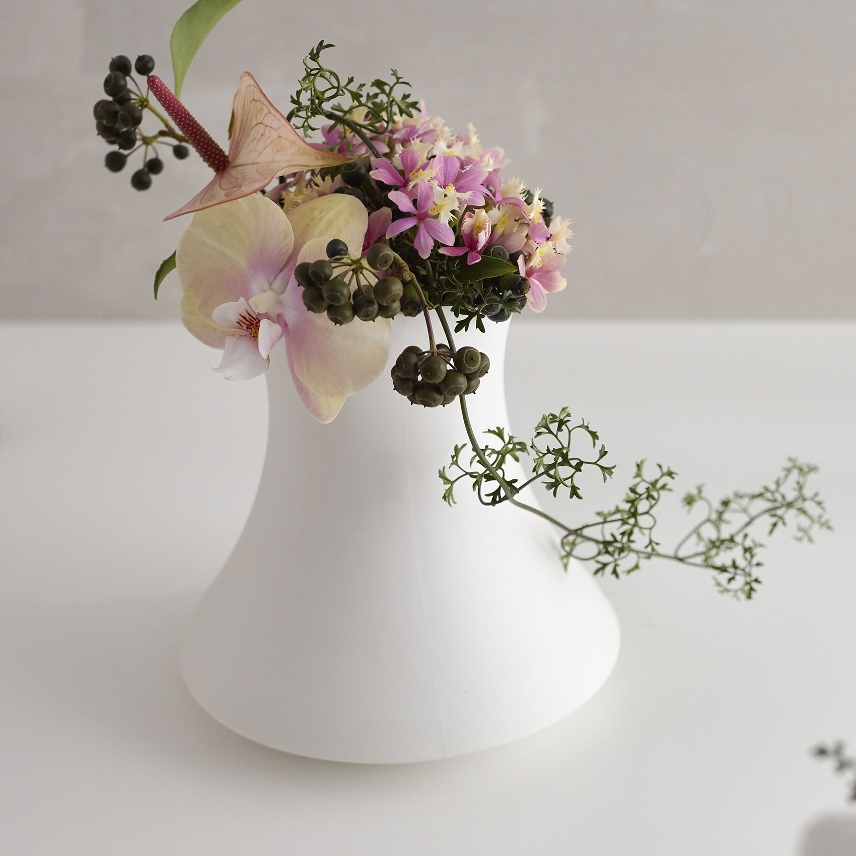  File 形状展開: S  外寸：17φ×19H, カラー展開: MATT WHITE