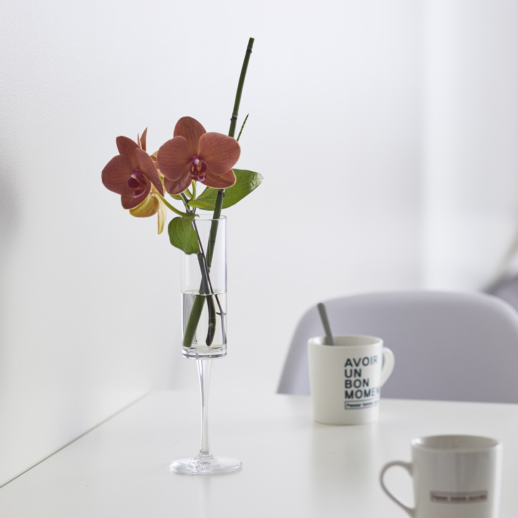 PC flute 形状展開: S  外寸：6.5φ×18.8H