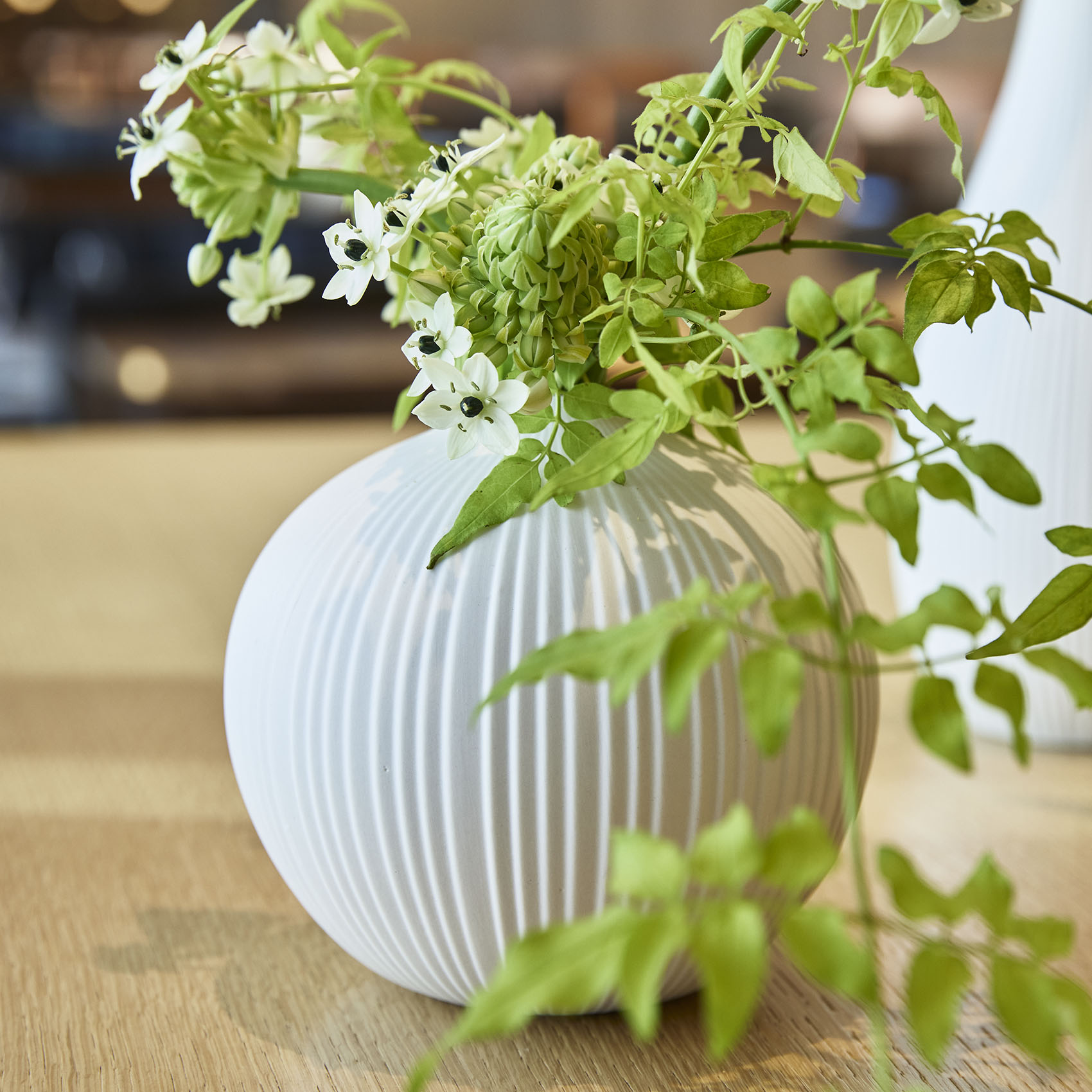 bulbo 形状展開: S  外寸：16φ×14.5H