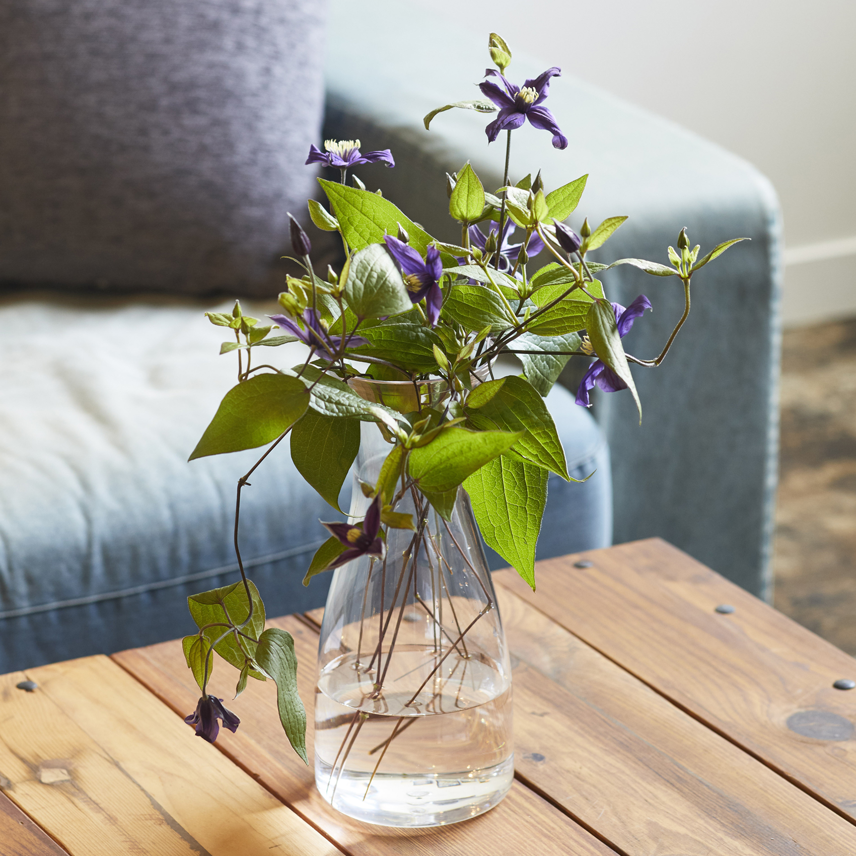 PC carafe