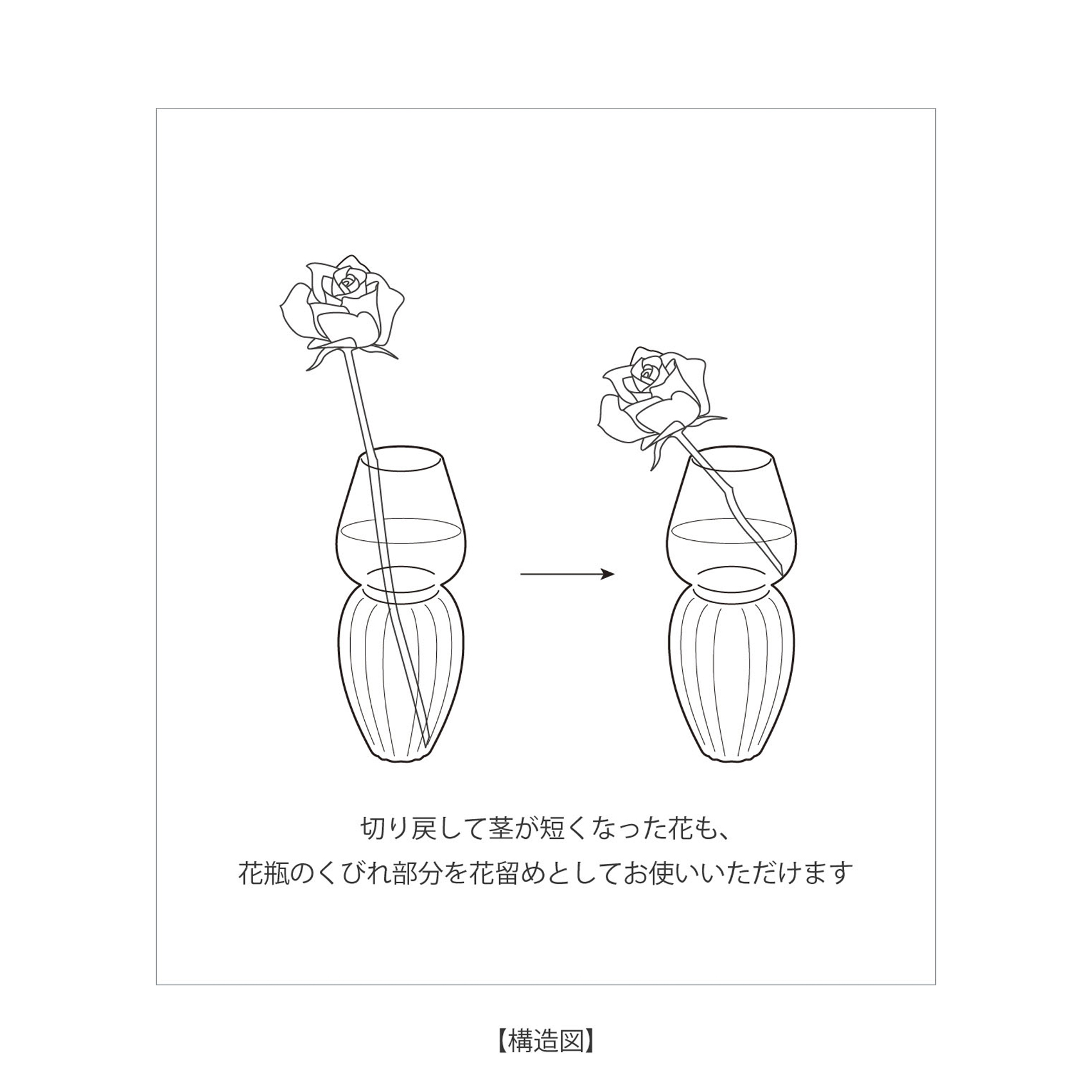 luce 形状展開: S  外寸：7φ×12H