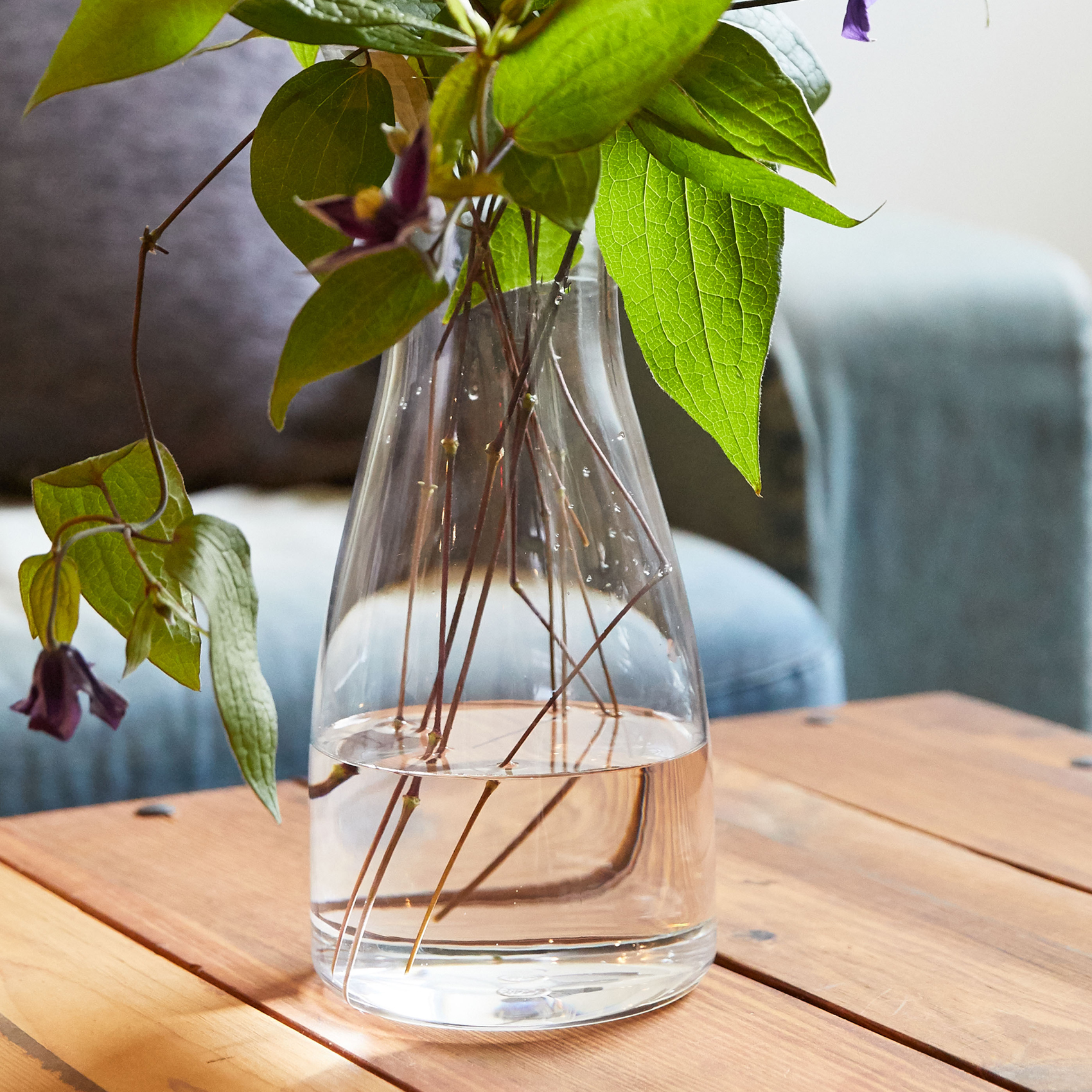 PC carafe 形状展開: S  外寸：8φ×17.5H