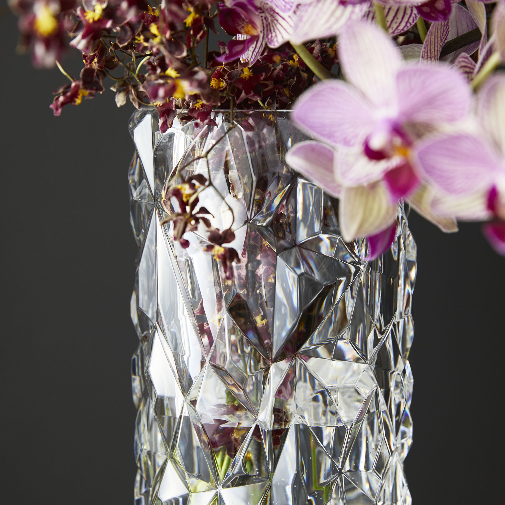 PC glitter 形状展開: S  外寸：9.8φ×24.6H