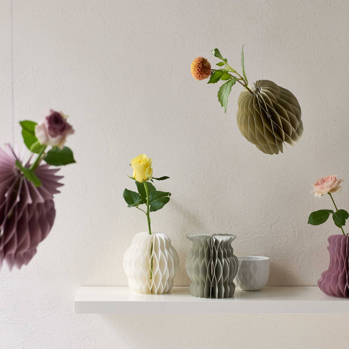  Plisse カラー展開: WHITE