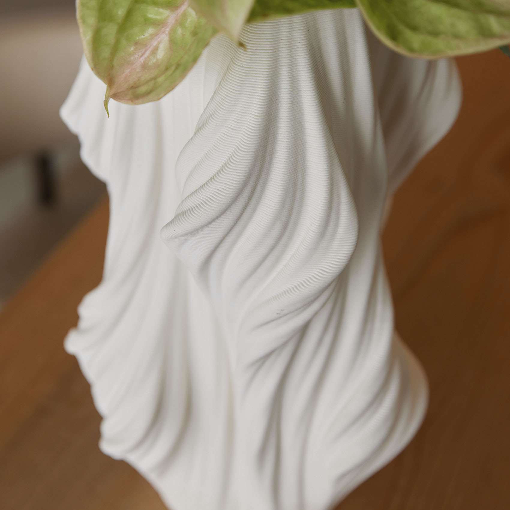 Solide Ⅱ 形状展開: S  外寸：18φ×34H