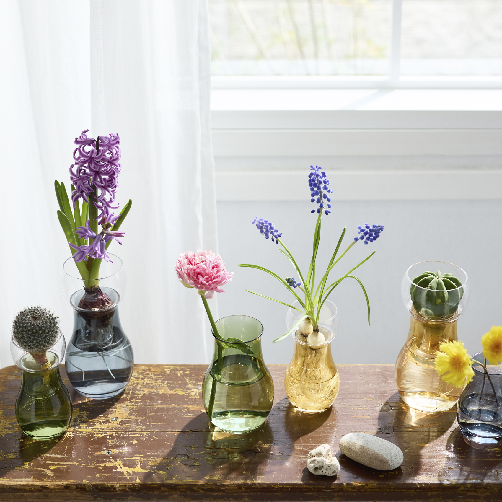 Bulbee 形状展開: S  外寸：7φ×14H, カラー展開: HONEY YELLOW