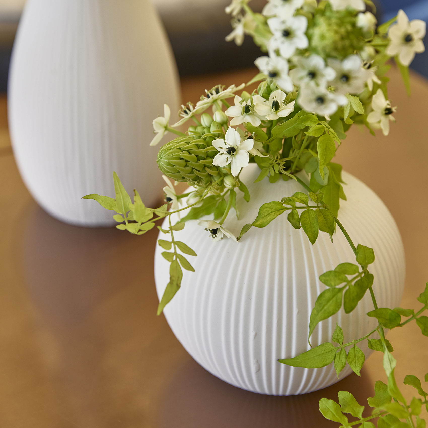 bulbo 形状展開: S  外寸：16φ×14.5H