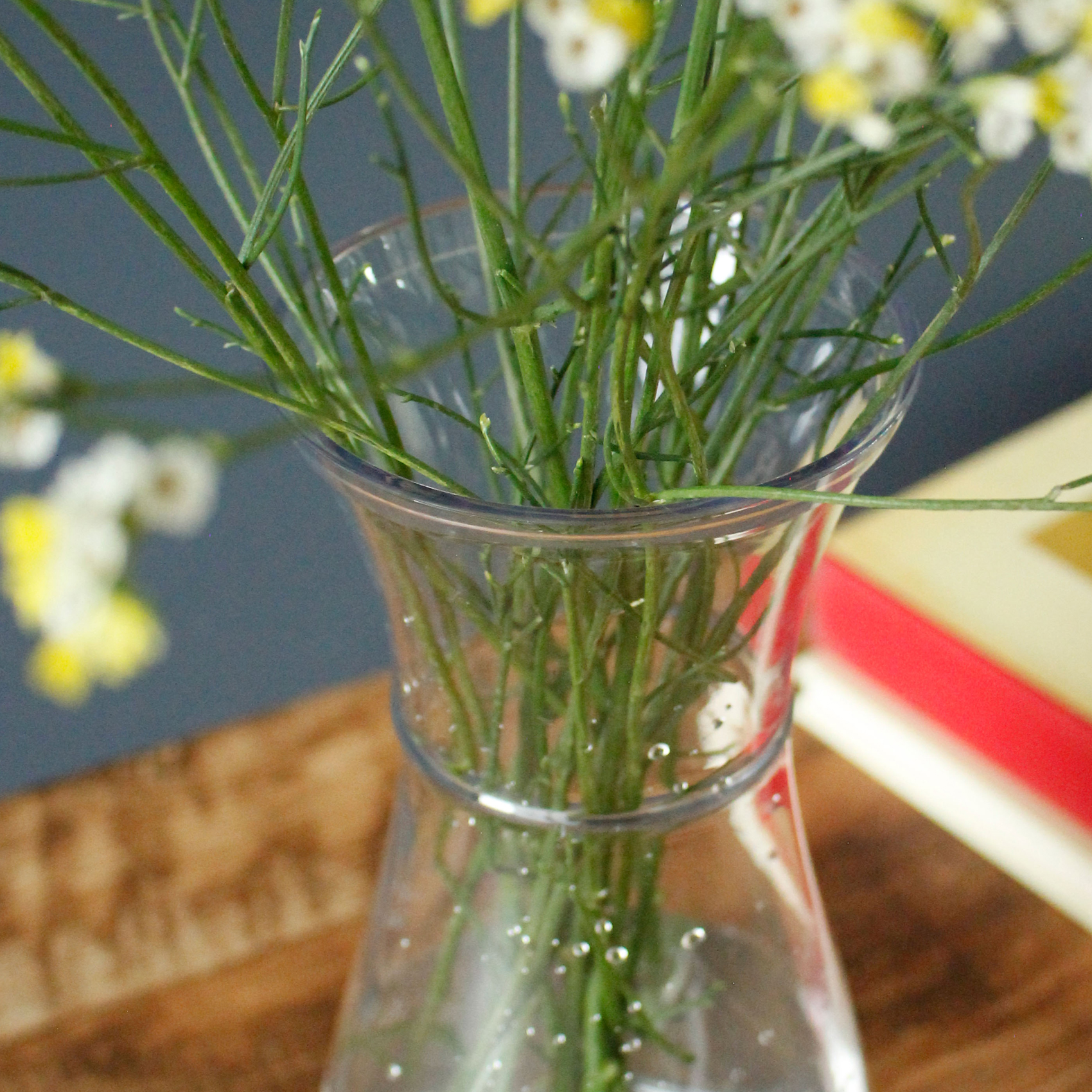 PC carafe 形状展開: S  外寸：8φ×17.5H