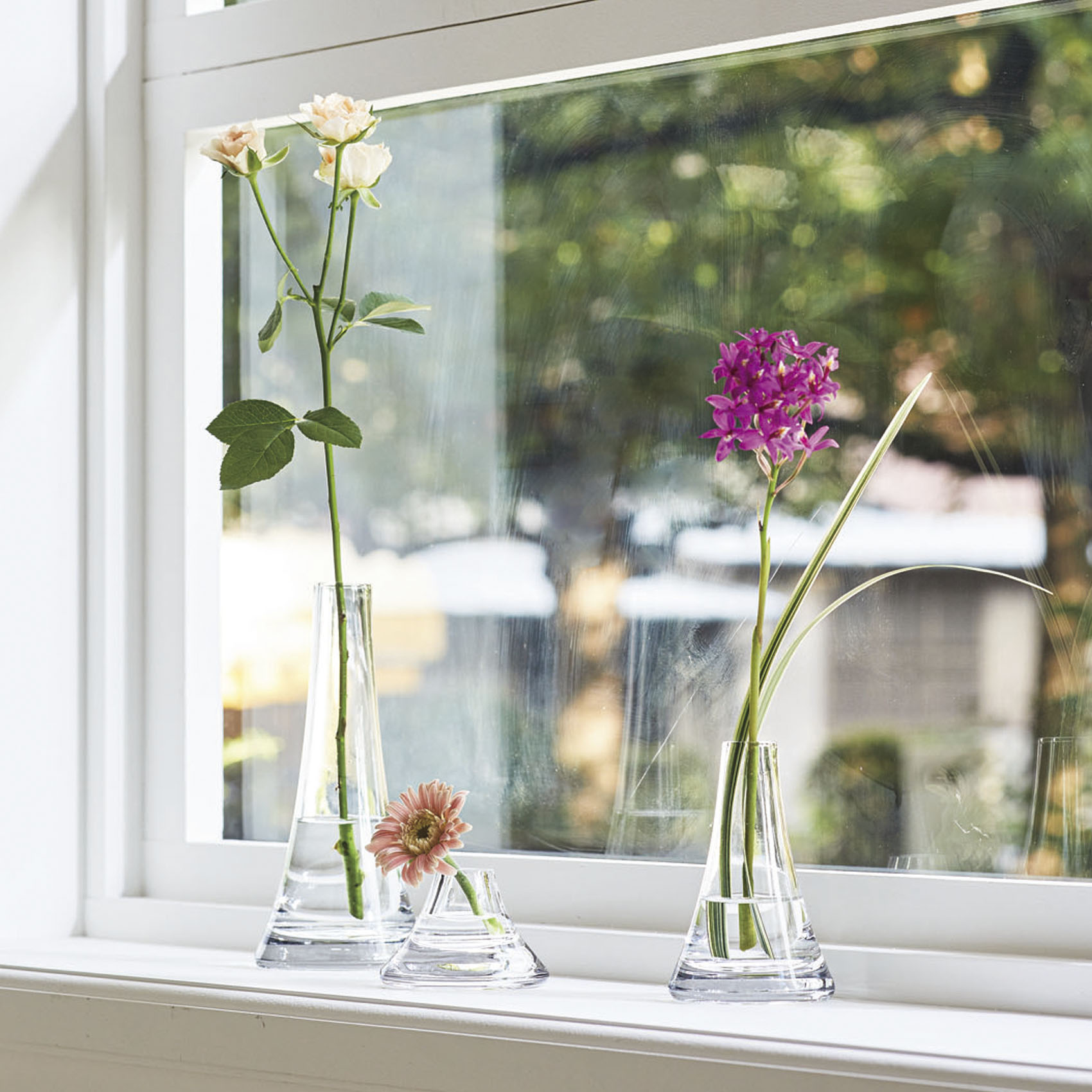 Fuji 形状展開: S  外寸：7.5φ×5H