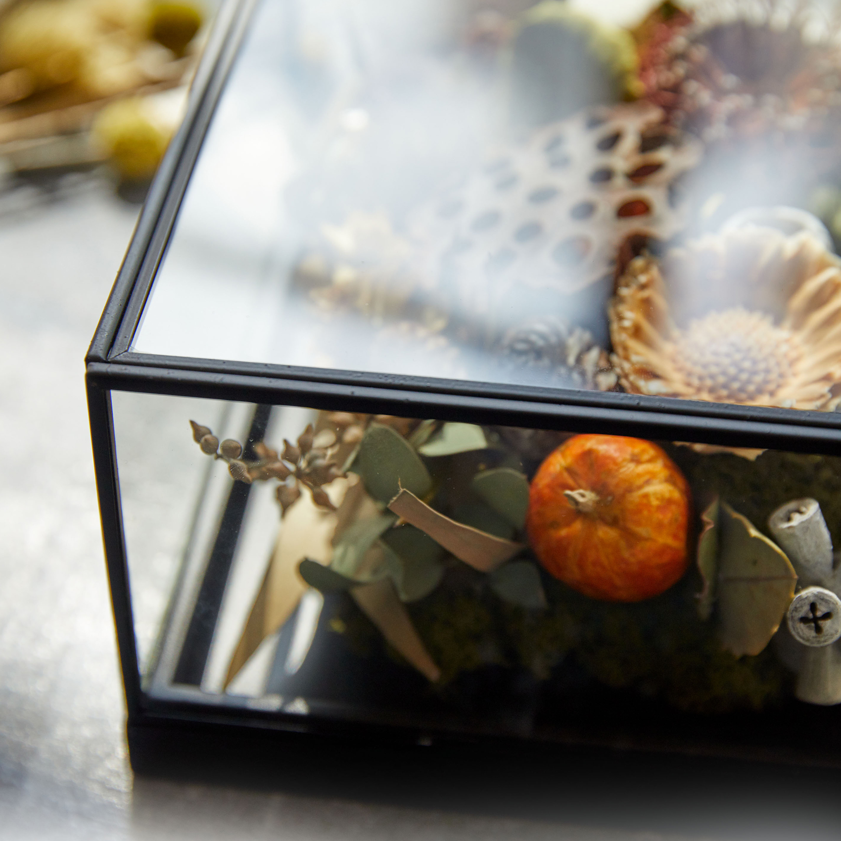 Petit Jardin 形状展開: S  外寸：21L×21W×10.5H, カラー展開: BLACK