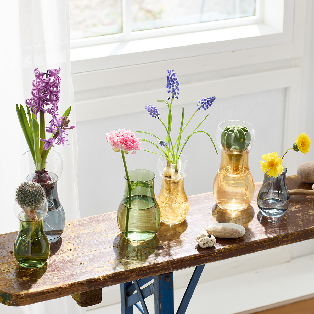 Bulbee 形状展開: S  外寸：7φ×14H, カラー展開: HONEY YELLOW